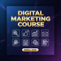 Professional Digital Marketing